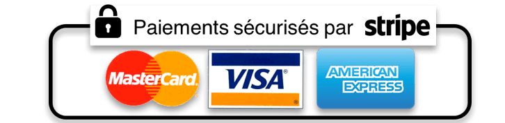 paiement securise stripe plat Formations Business