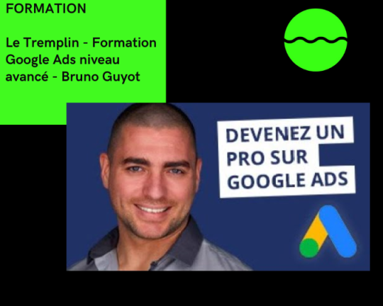 Formation Google Ads niveau avancé - Bruno Guyot