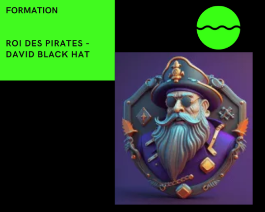 ROI DES PIRATES - DAVID BLACK HAT