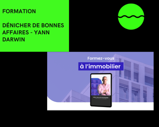 Dénicher De Bonnes Affaires - Yann Darwin