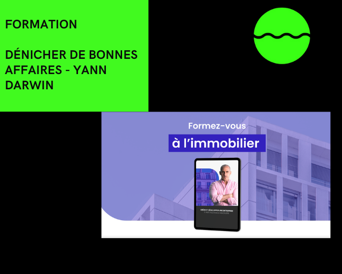 Dénicher De Bonnes Affaires - Yann Darwin