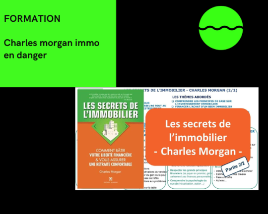 Immo En Danger - Charles Morgan