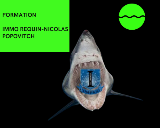 Immo Requin-Nicolas Popovitch