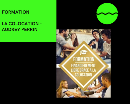 La Colocation - Audrey Perrin