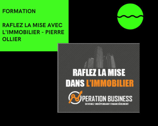 Raflez La Mise Avec L'immobilier - Pierre Ollier