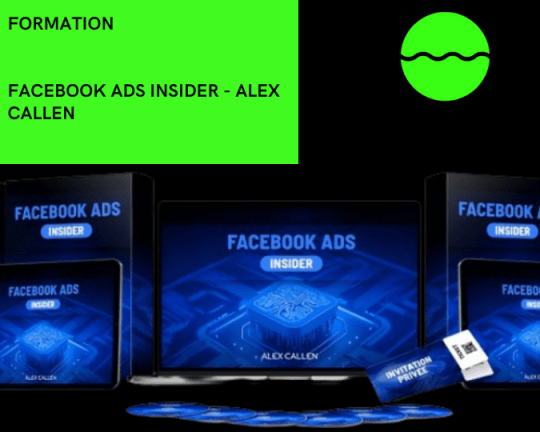 FACEBOOK ADS INSIDER DE ALEX CALLEN