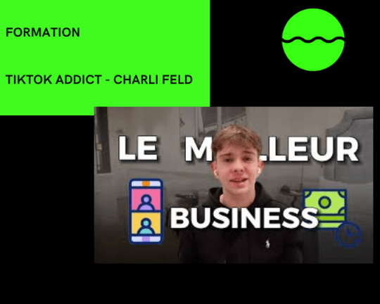 TIKTOK ADDICT DE CHARLI FELD