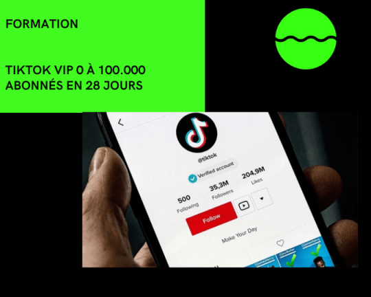 Tiktok VIP 0 à 100.000 abonnés en 28 jours
