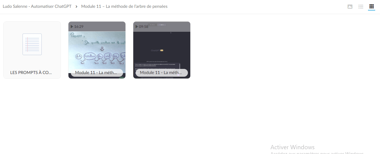 Automatiser ChatGPT De Ludo Salenne