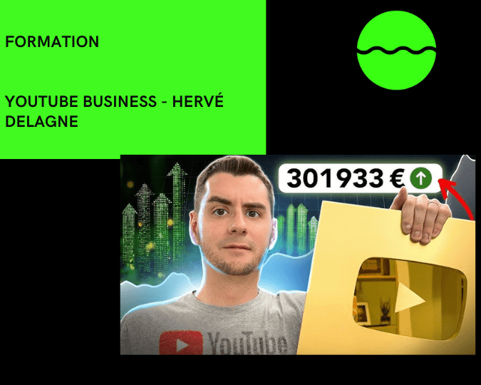 Youtube Business de Hervé Delagne