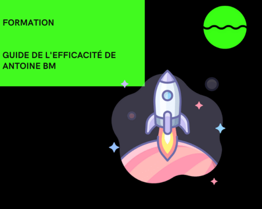 Formation Guide De L'efficacité De Antoine Bm