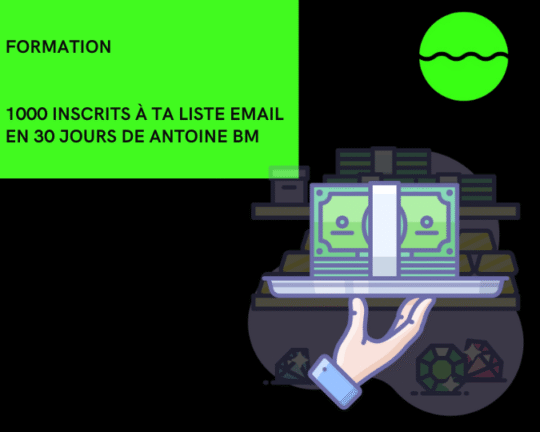 Formation 1000 inscrits à ta liste email en 30 jours de Antoine BM