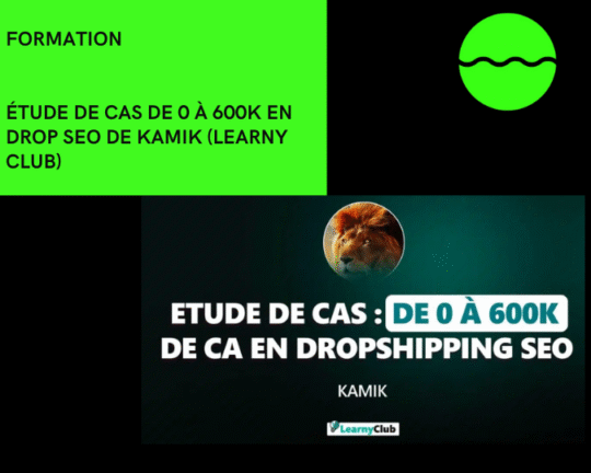 Formation Étude De Cas De 0 À 600k En Drop Seo De Kamik
