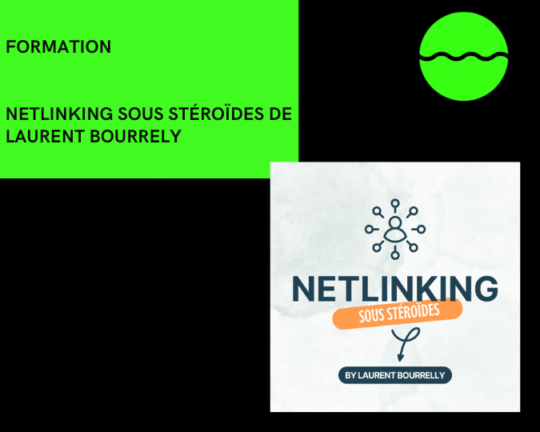 Formation Netlinking Sous Stéroïdes De Laurent Bourrely