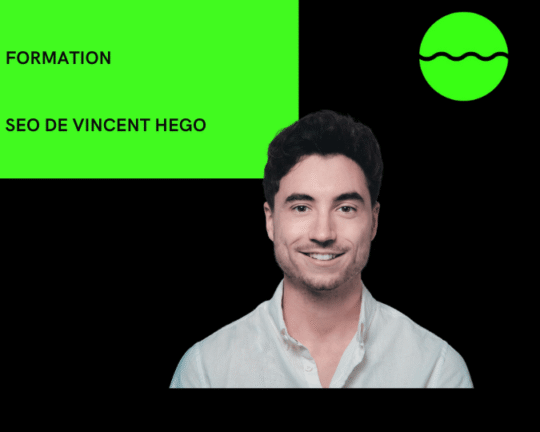 Formation Seo De Vincent Hego