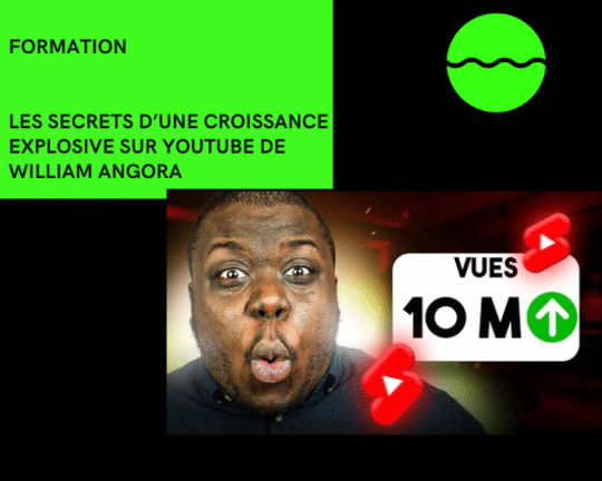 Formation Les secrets d une croissance explosive sur Youtube de William Angora