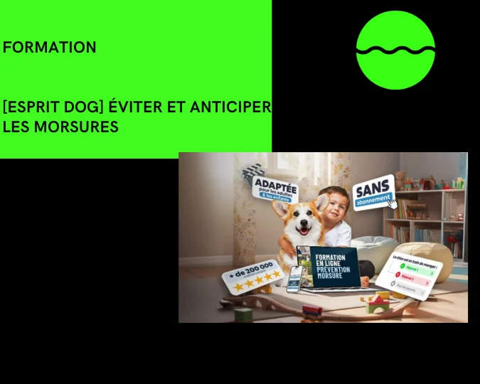 Esprit dog eviter et anticiper les morsures