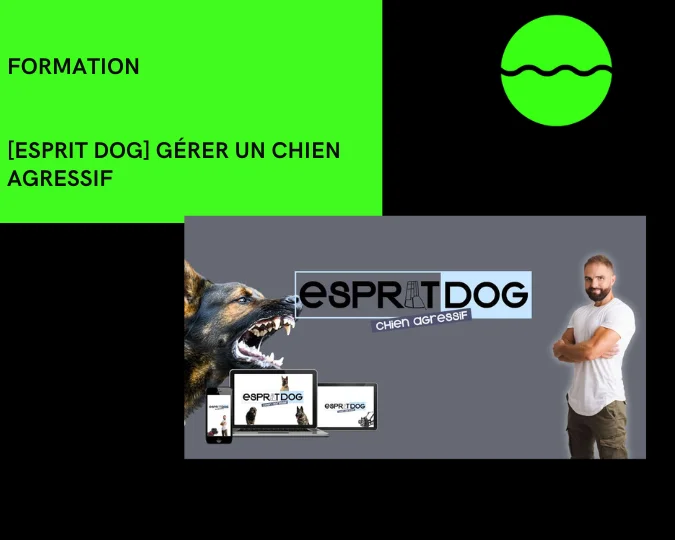 Esprit dog gerer un chien agressif