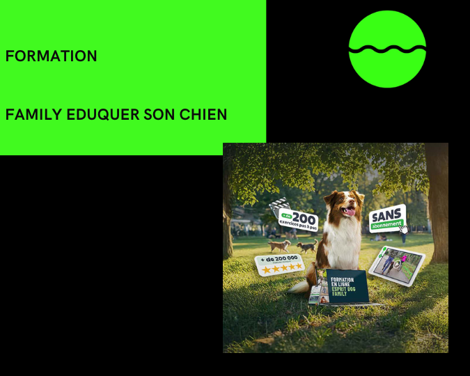 Family Eduquer son chien