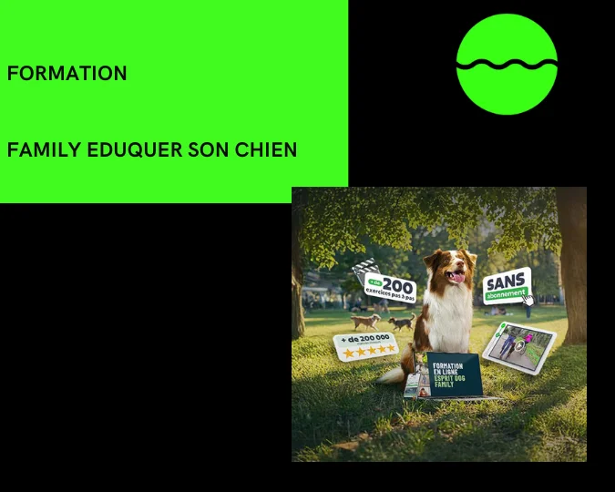 Family eduquer son chien
