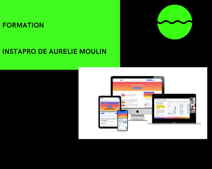INSTAPRO de Aurelie Moulin