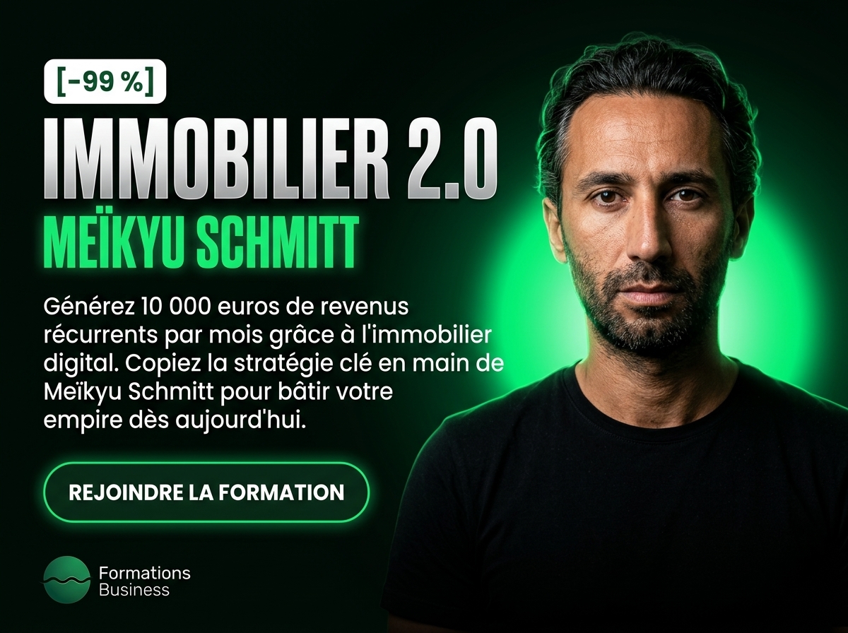 Immobilier 2.0 de Meïkyu Schmitt